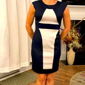 Women’s Business Dress